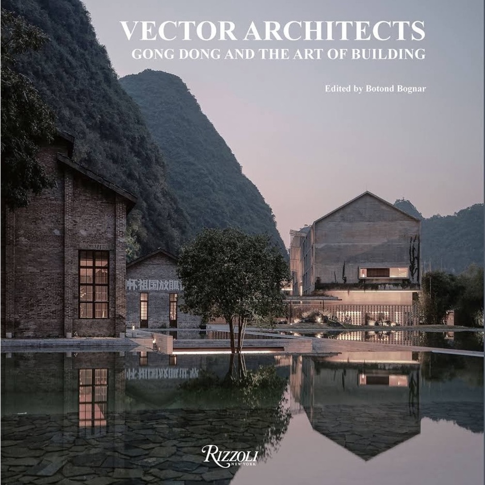 Vector Architects: Gong Dong and the Art of Building